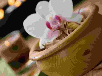Spa Decor Set